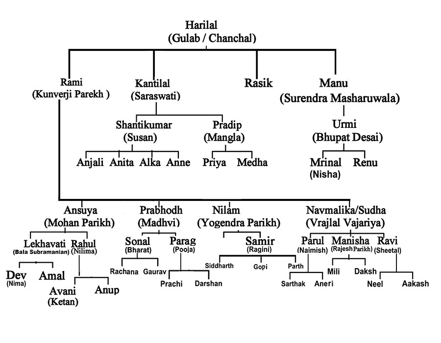 Family Tree Of Gandhi